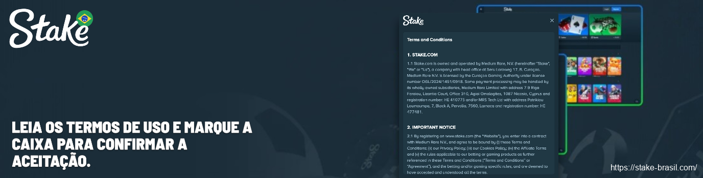 Leia os termos de uso e marque a caixa Stake Cassino